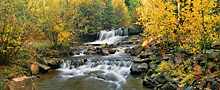 pan placid creek
