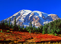paradise autumn
