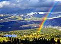 after the rain