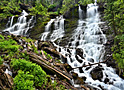 silver falls