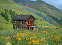 forgotten rainbows