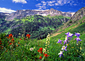 governor basin