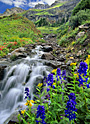 larkspur falls