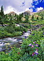 twin falls