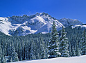 prospect basin