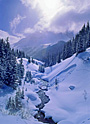 snowbound