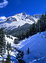 winter at sheep mtn