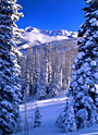 winterscape