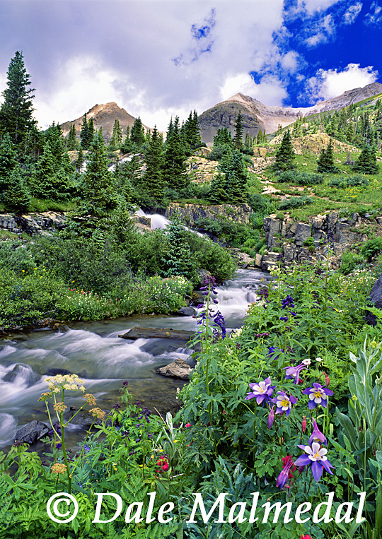 twin falls