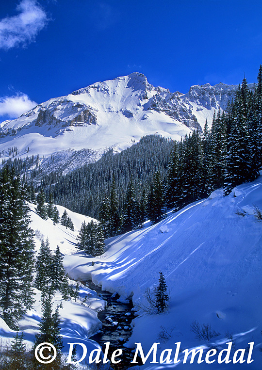 winter at sheep mtn