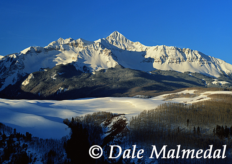 winter majesty