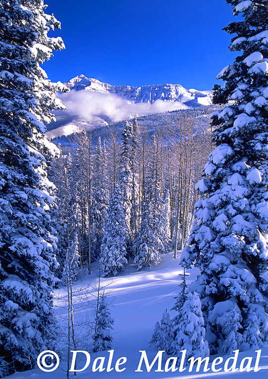 winterscape